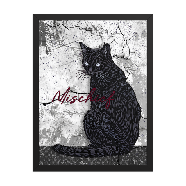 Black Cat with Mischief Framed Poster