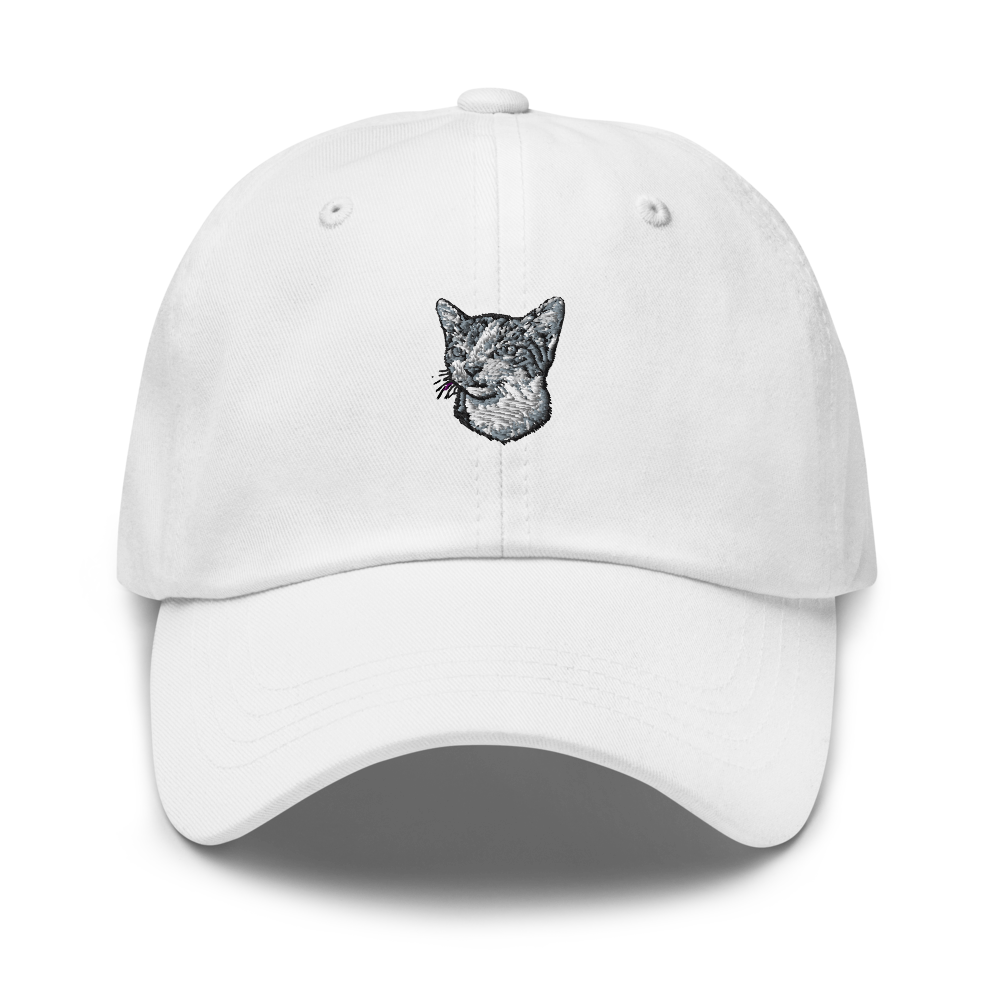 Don Gato