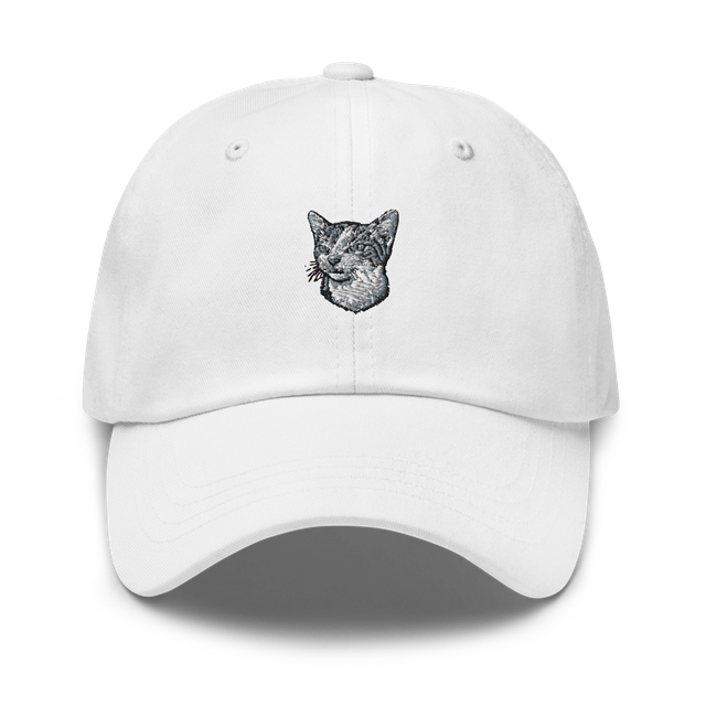 Don Gato