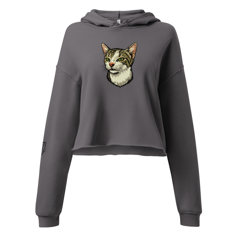 Don Gato