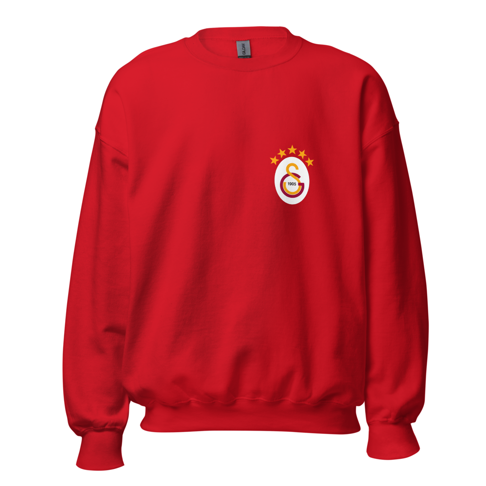 GS -Galatasaray Front and Back Printed