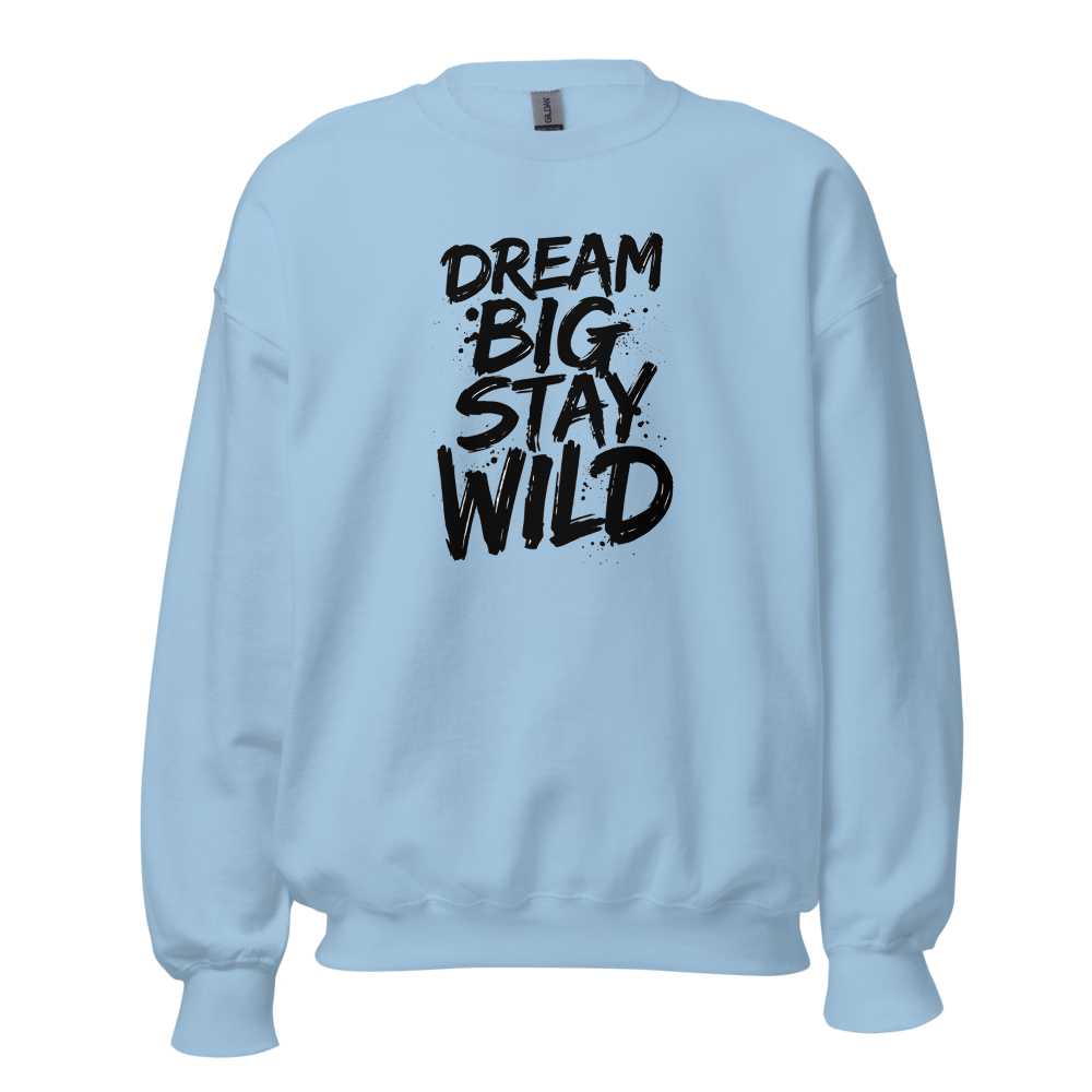 Dream big stay wild