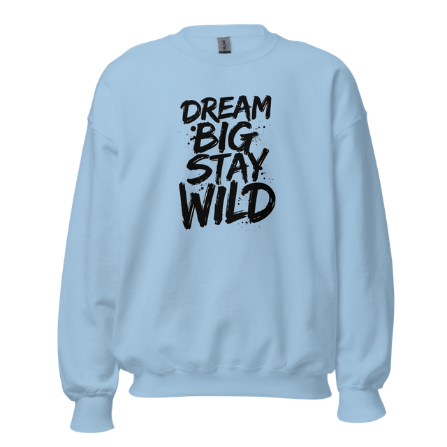 Dream big stay wild