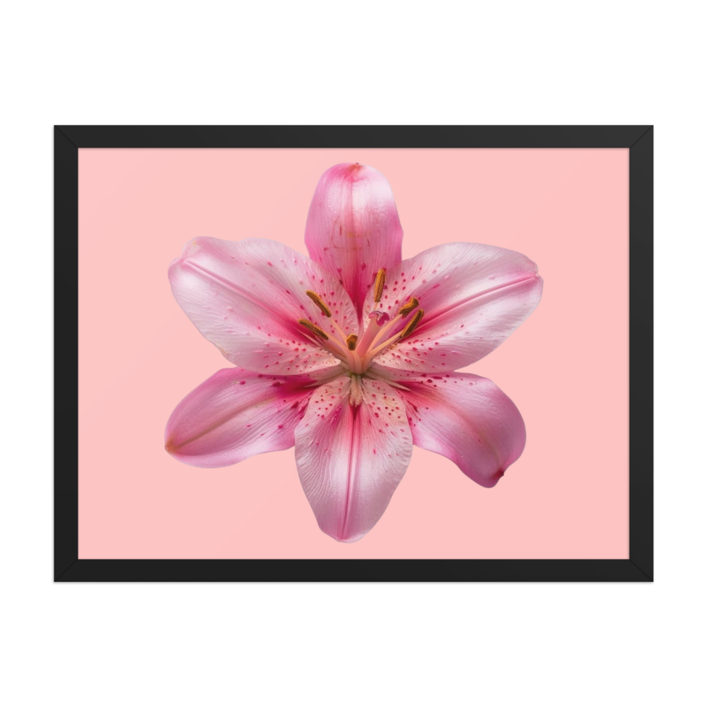  Watercolor Pink Lily Framed Canvas Wall Art