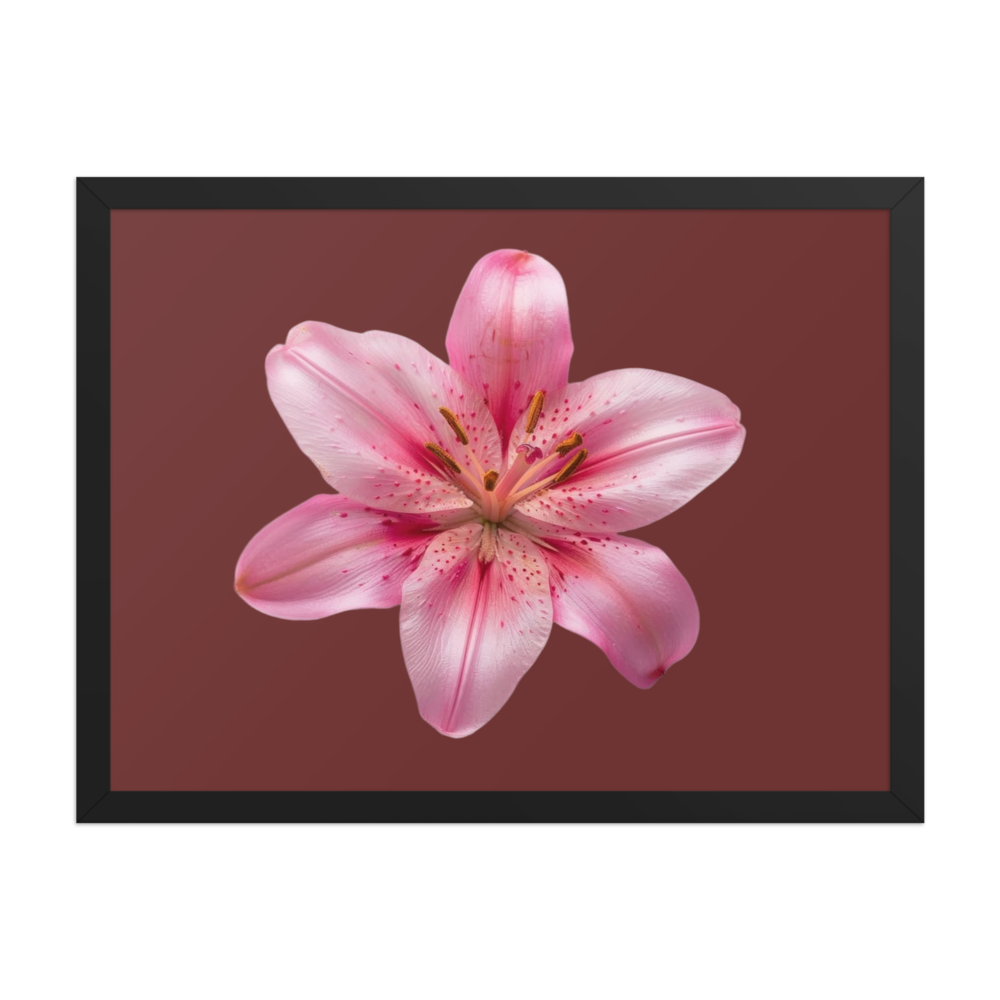 Vibrant Pink Lily Framed Poster