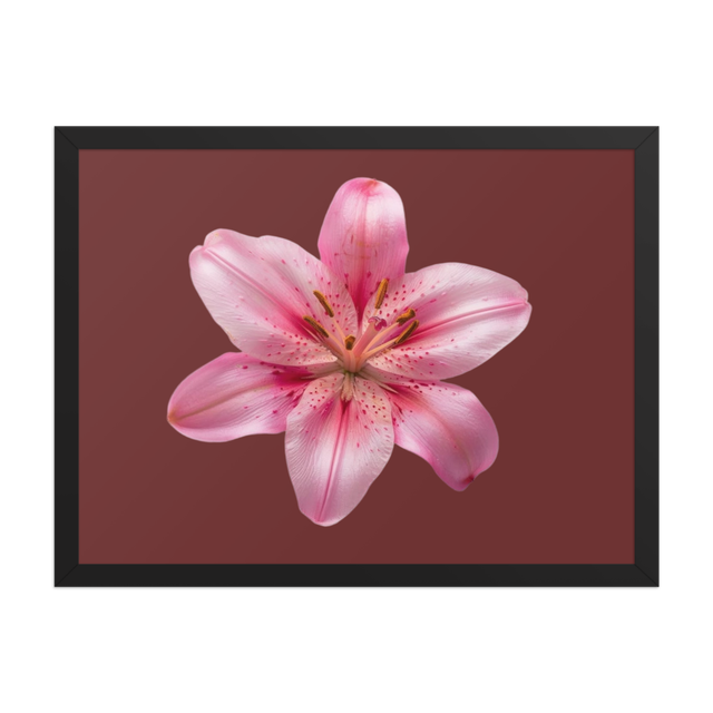 Vibrant Pink Lily Framed Poster