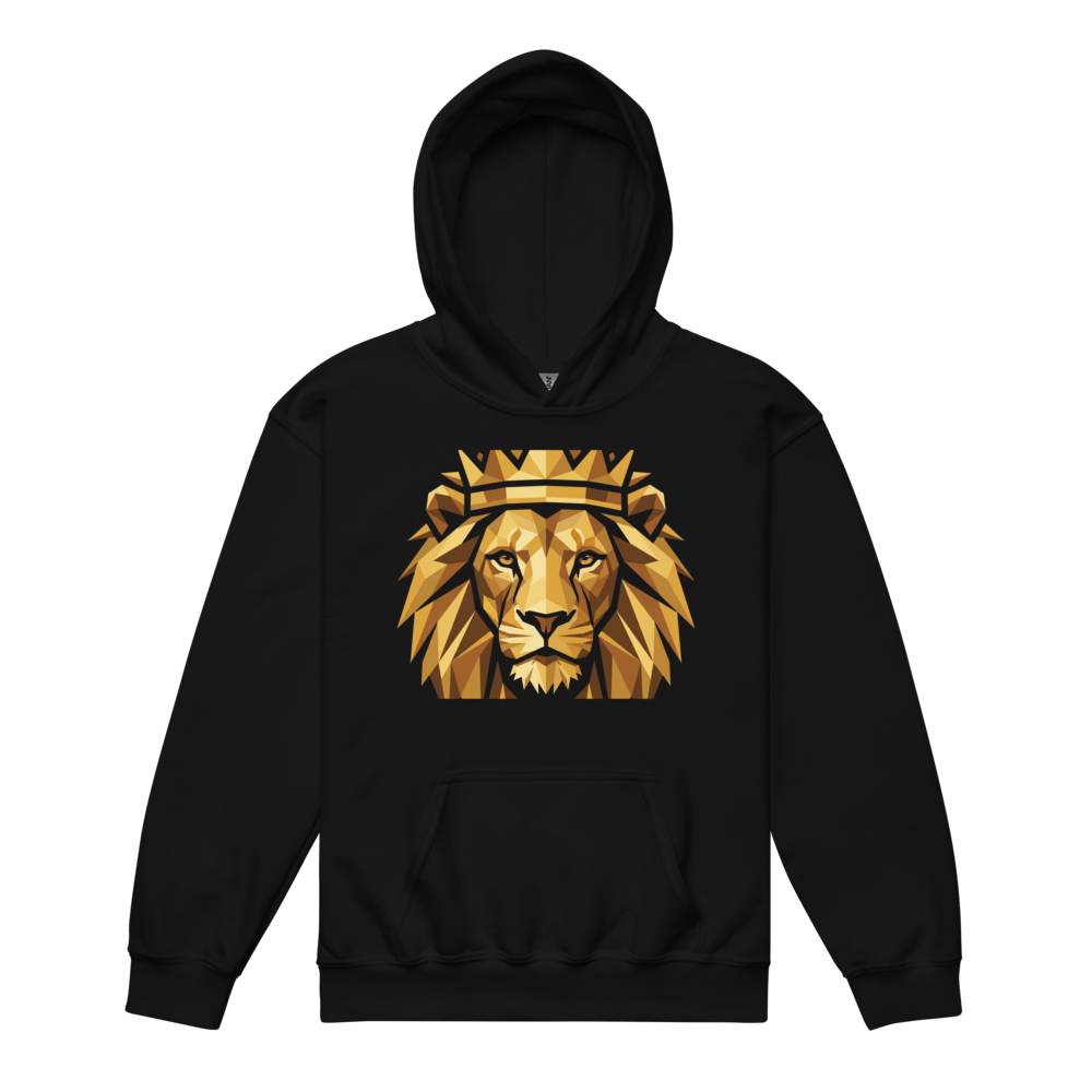 Premium Soft Fleece Pullover Sweatshirt for Kids,