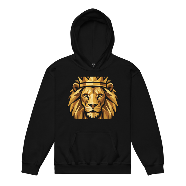 Premium Soft Fleece Pullover Sweatshirt for Kids,