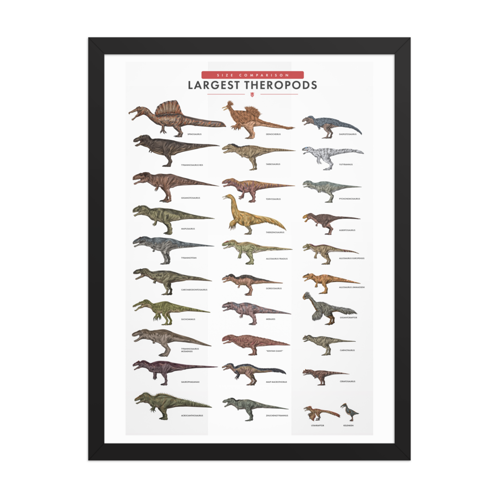 Largest Theropods Poster -White version 