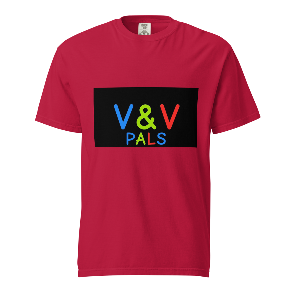 V&V PALS 