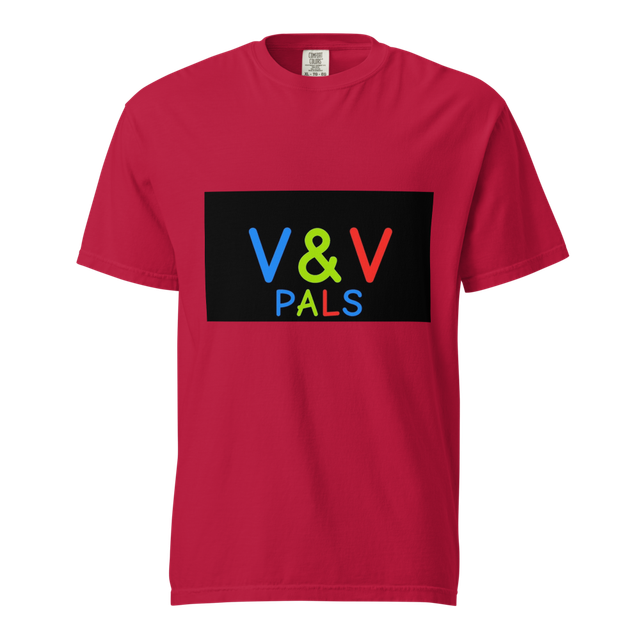V&V PALS