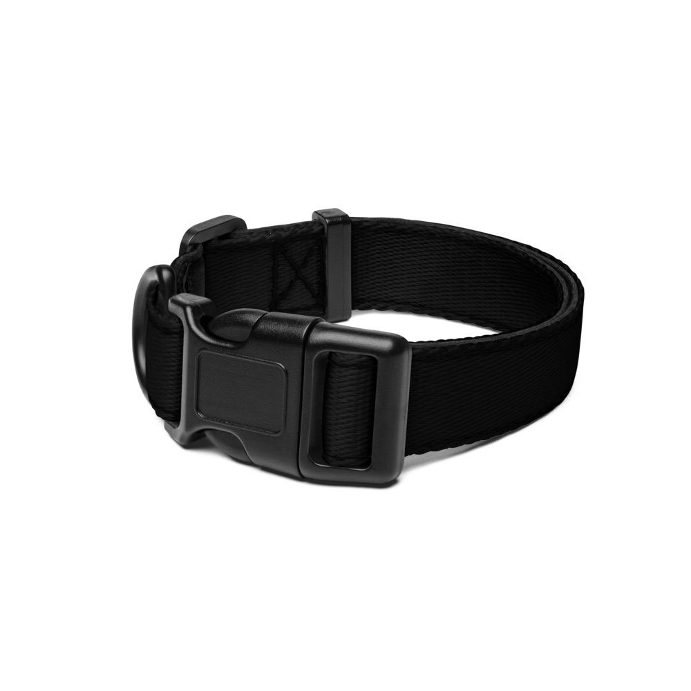 Pet Collar