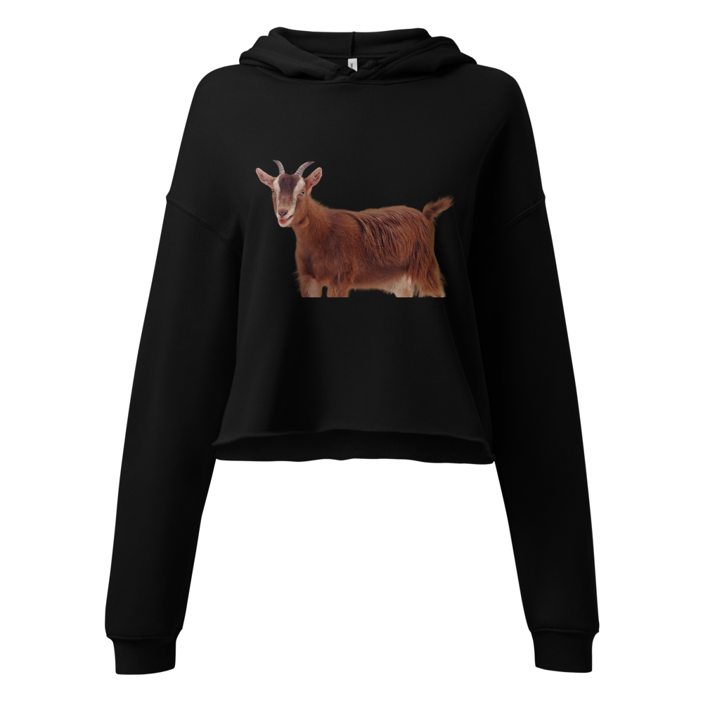 womens cropped hoodie