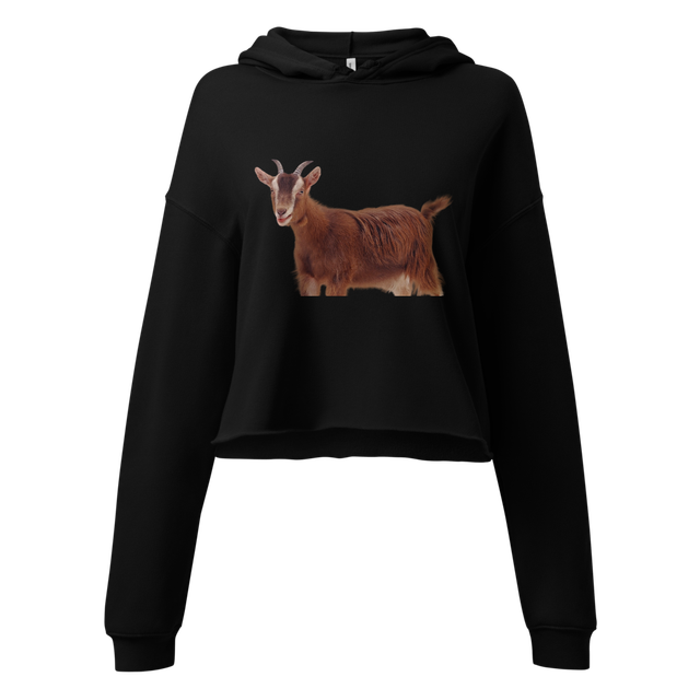womens cropped hoodie