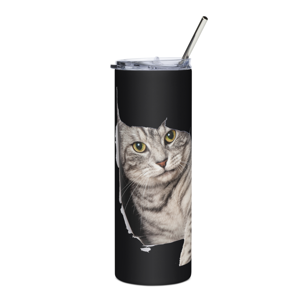 stainless steel tumbler 