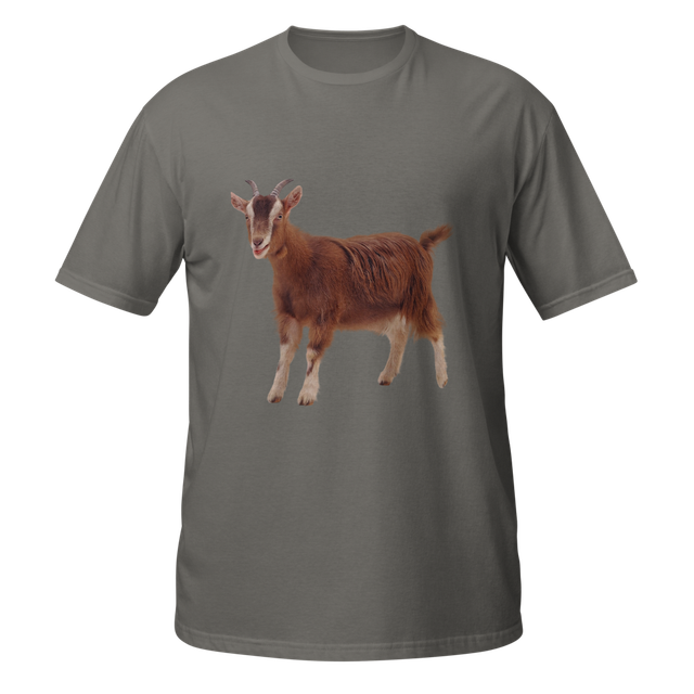 softstyle t shirt