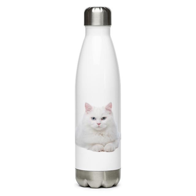 stainless steel water bottle