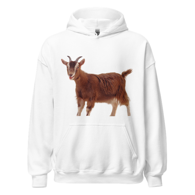 unisex heavy blend hoodie
