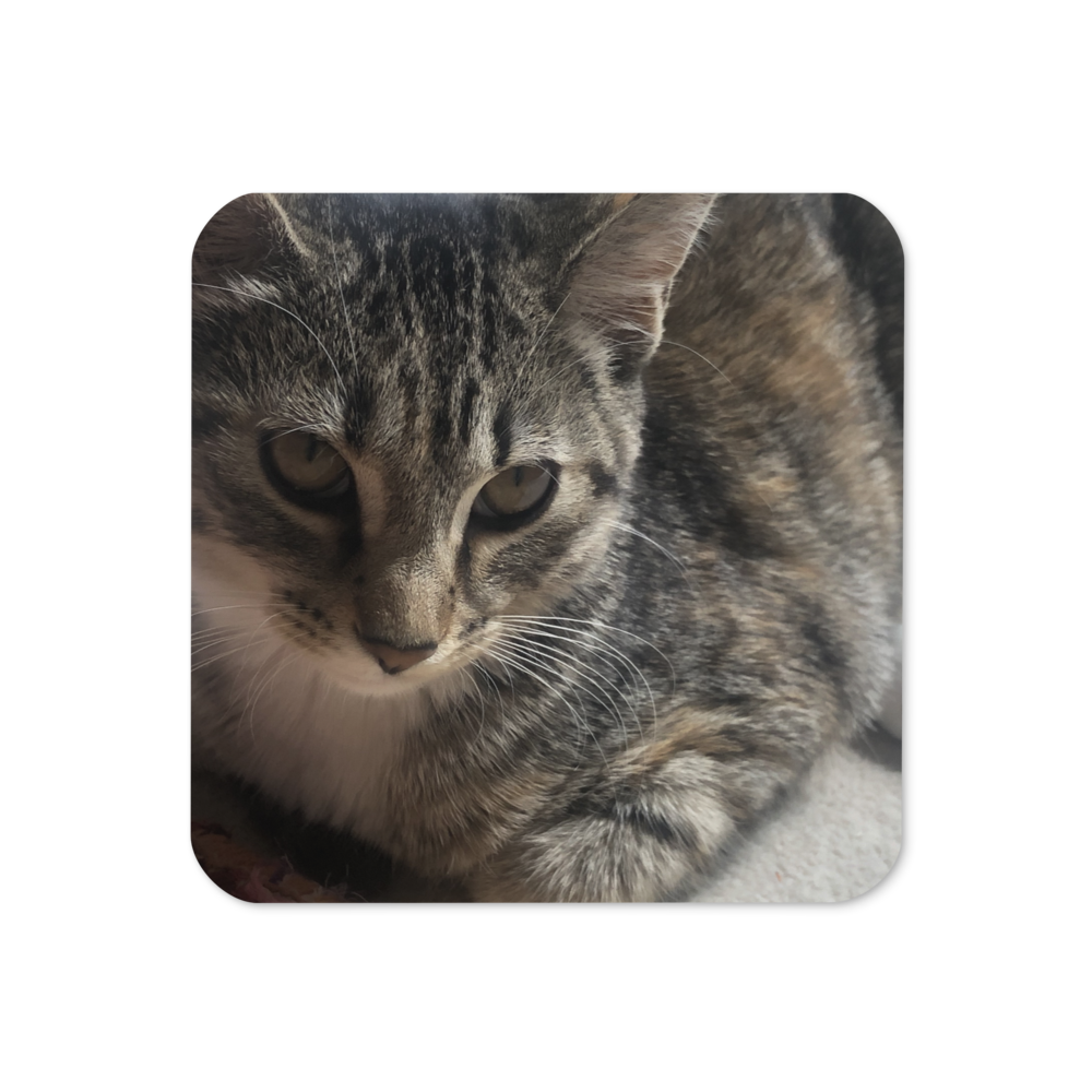 Loafing Hermione Coaster