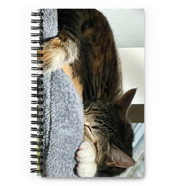 Hermione Notebook
