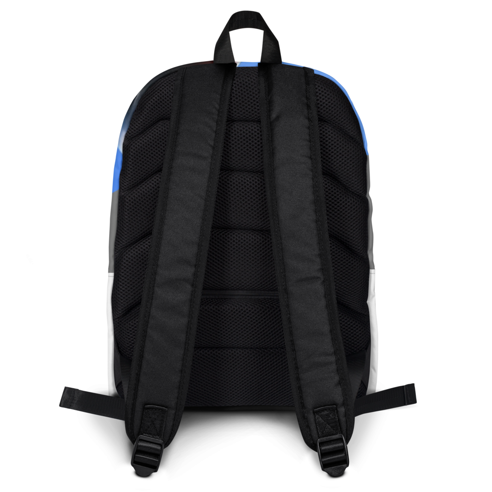 Fortnite Random Picture Backpack