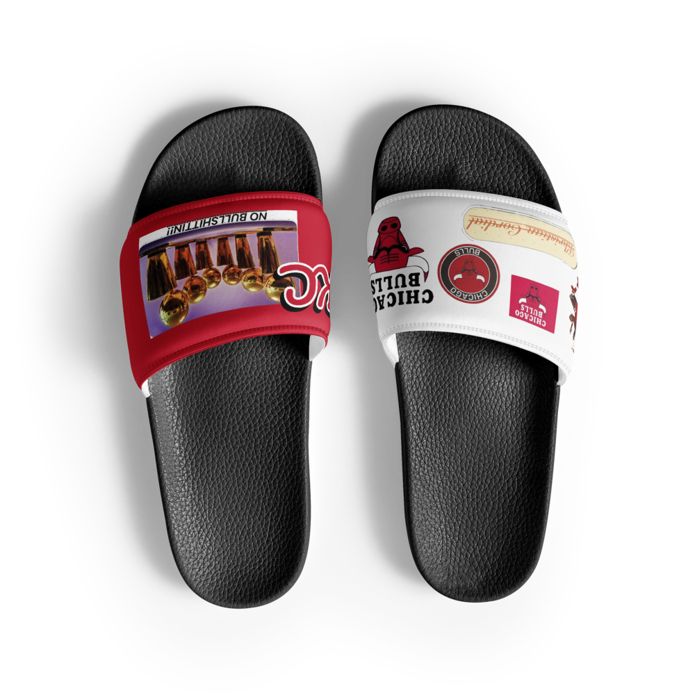 BULLS SLIDES