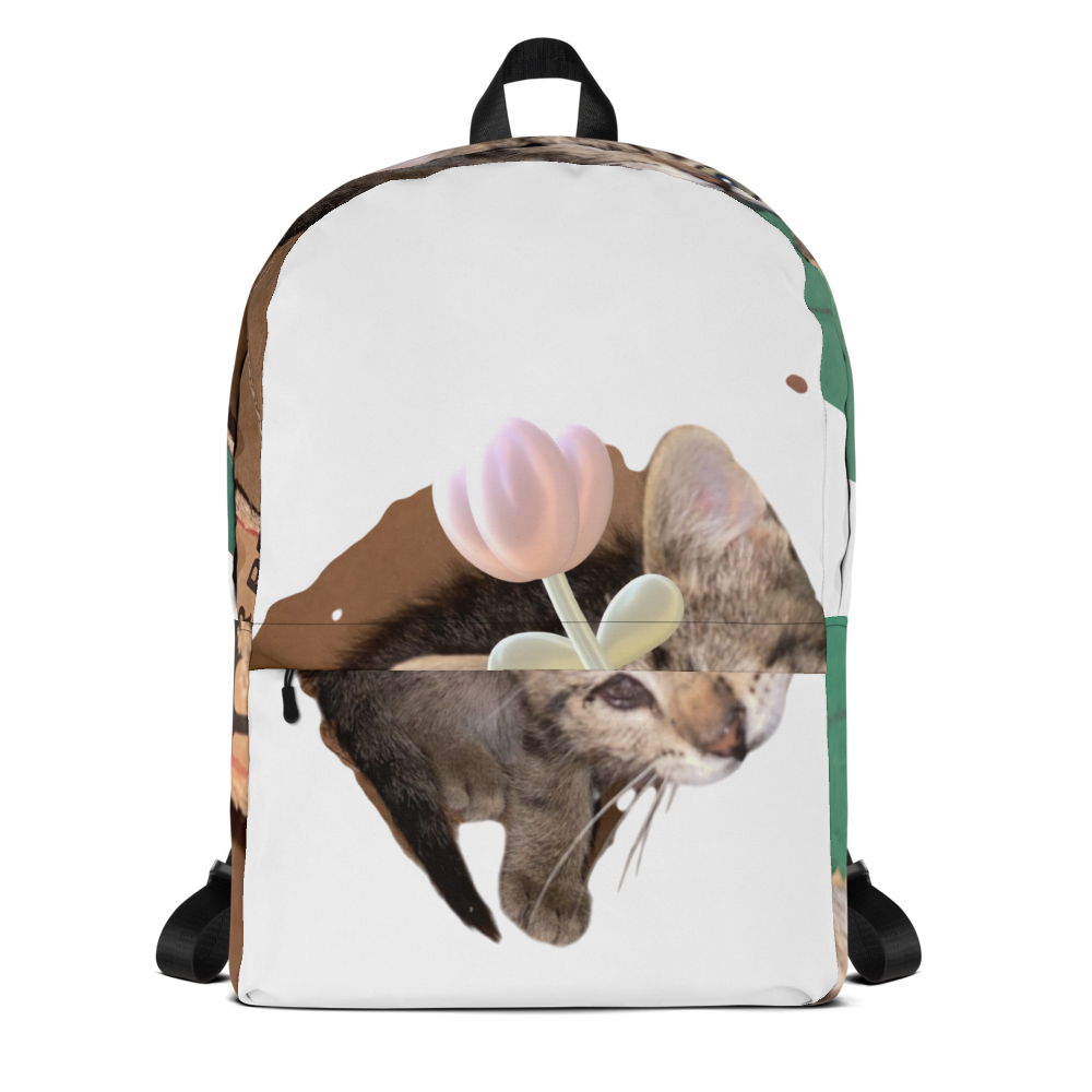 A bag