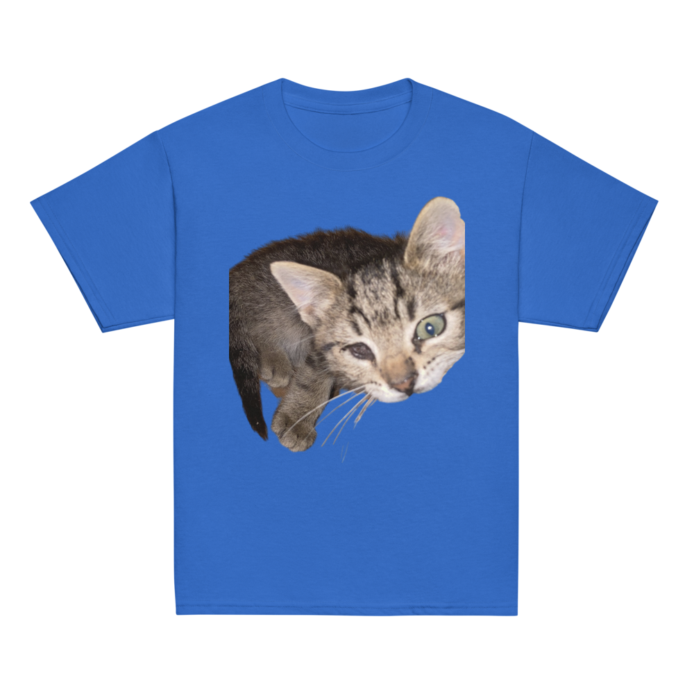 Blue kitty shirt