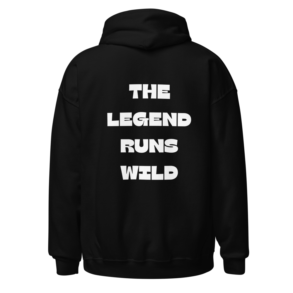 MS Vintage Wild Legend Horse Premium hoodie 