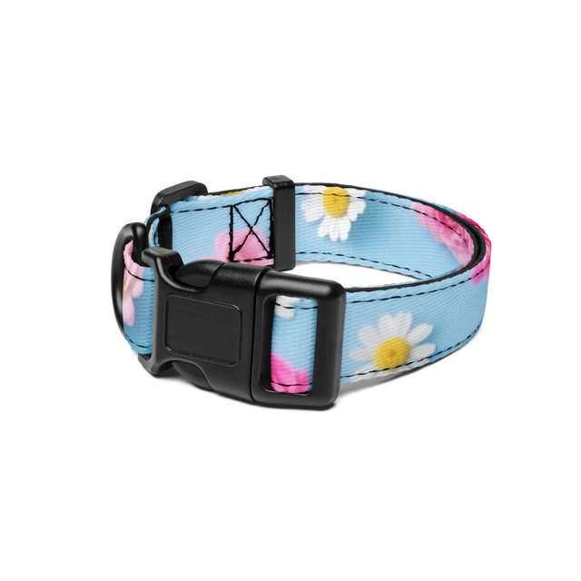 Floral Pet Collar