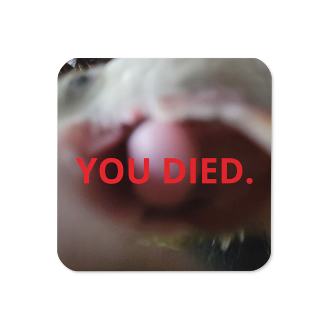Beebl Boose "YOU DIED." Coaster