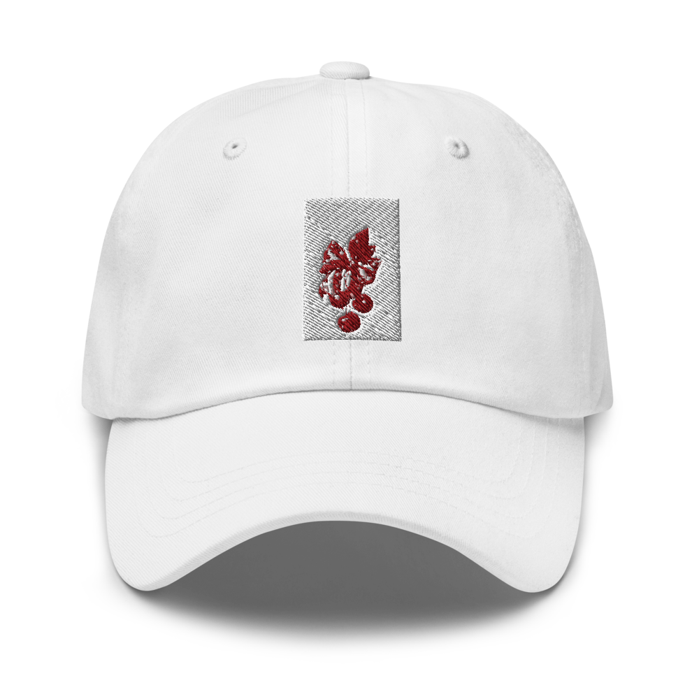 Vintage Cherry Aesthetic Embroidered Hat