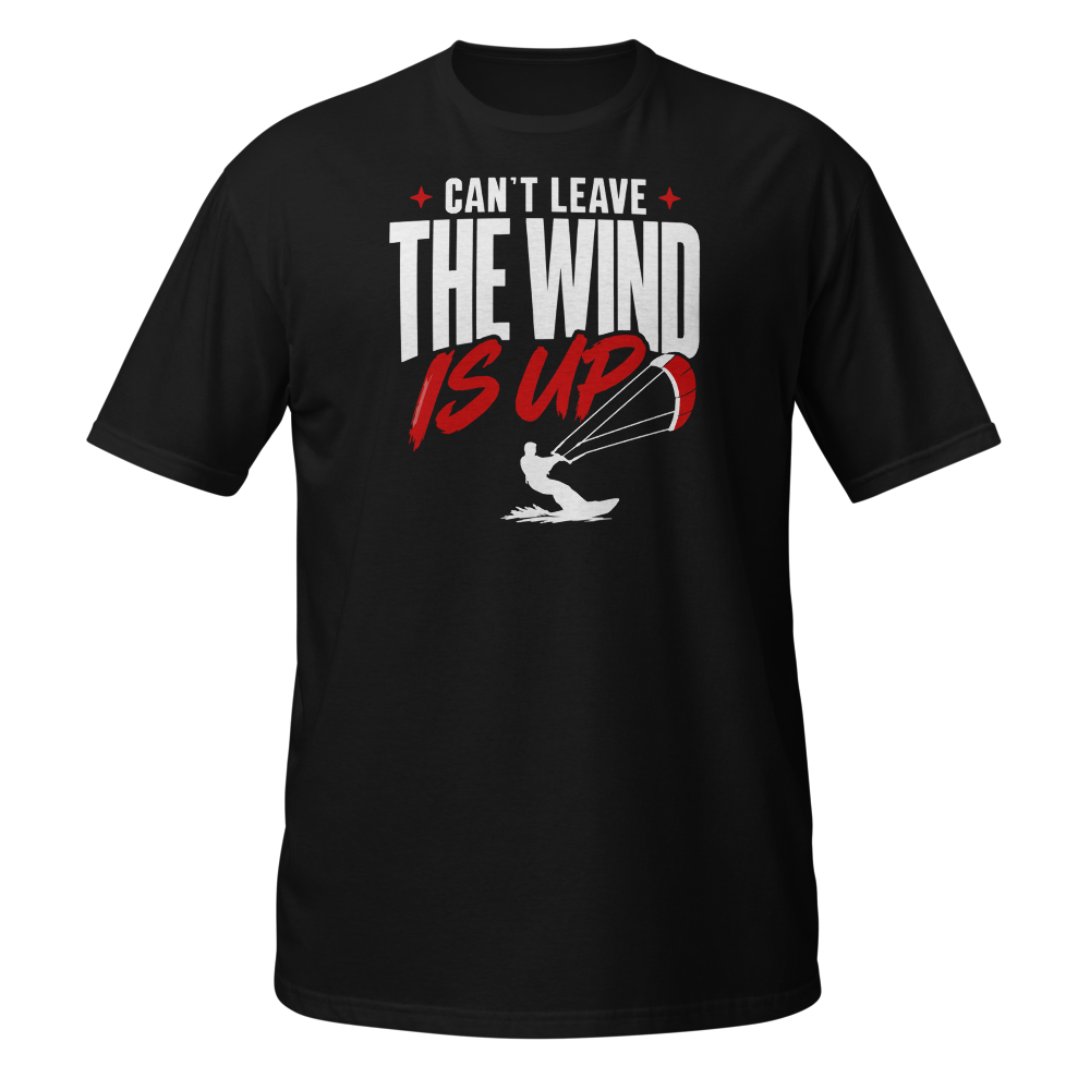 Can't Leave – The Wind Is Up