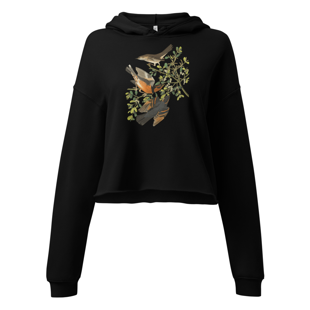 Vintage Aesthetic Bird Cropped Hoodie