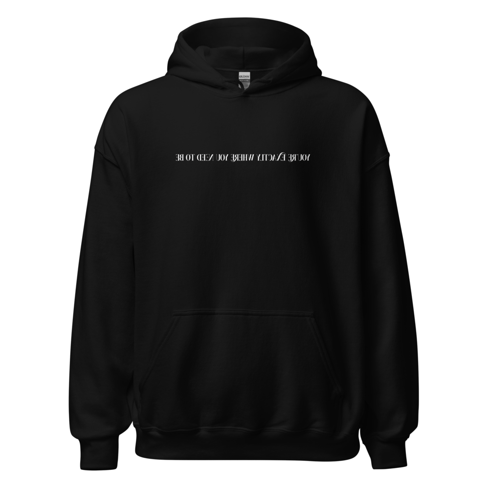YOU’RE EXACTLY WHERE YOU NEED TO BE — HEAVY BLEND HOODIE · BLACK