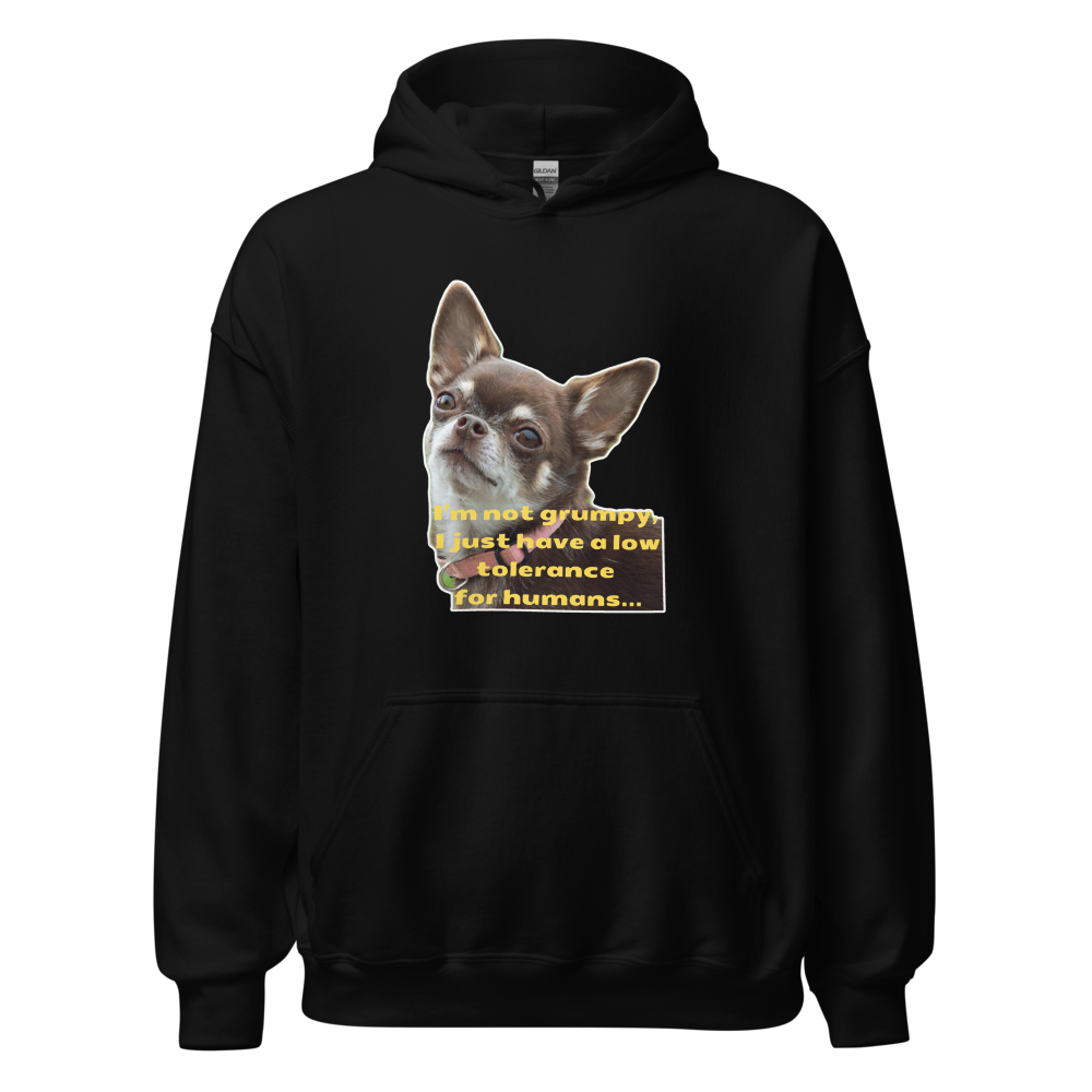 Cute dog