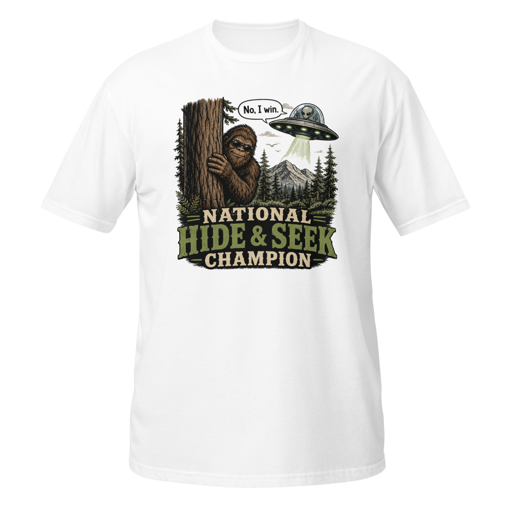  Hide & Seek