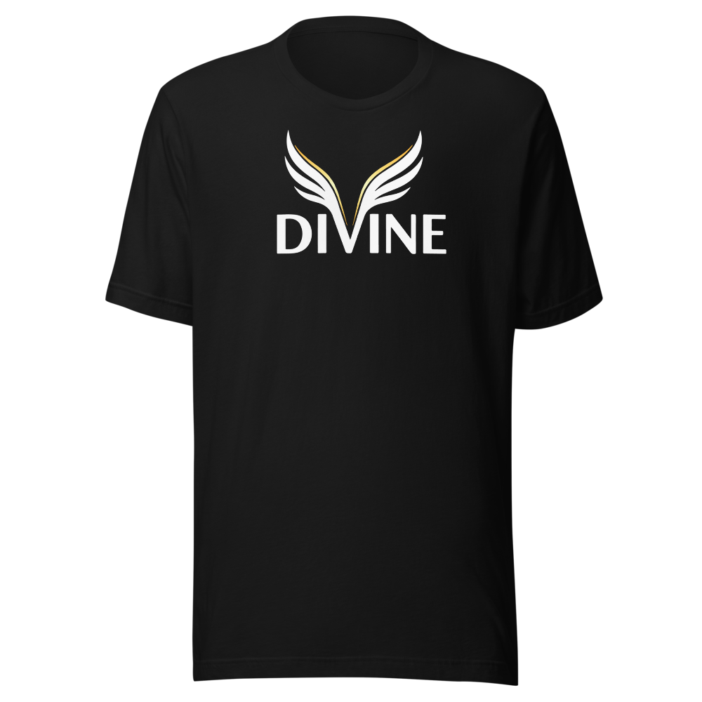 Divine 2.0 - Statement T