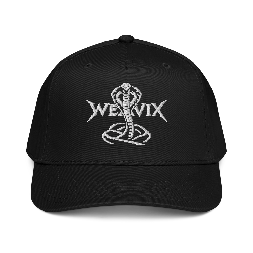 Logo Baseball Cap
