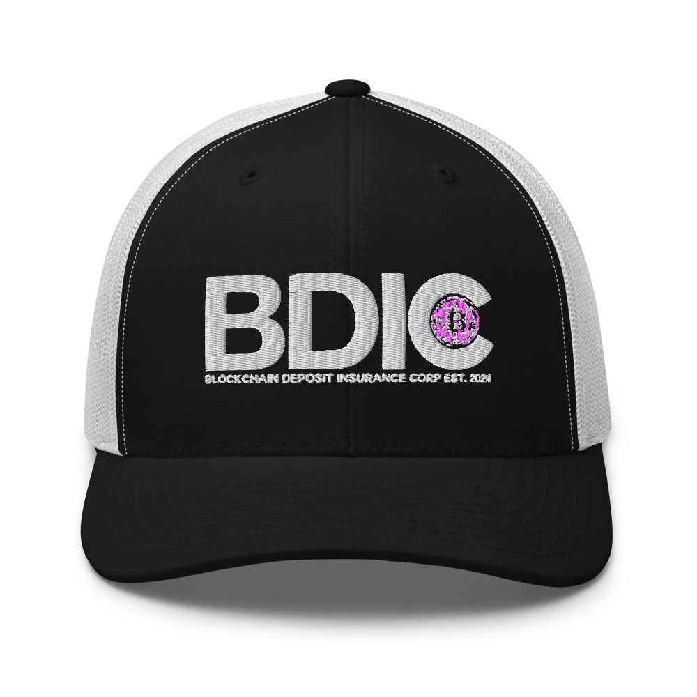 BDIC RETRO HAT