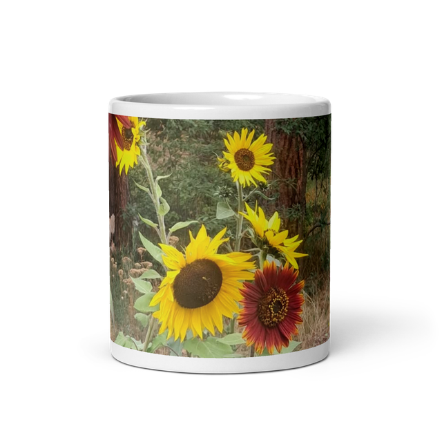 Mug mixed colors
