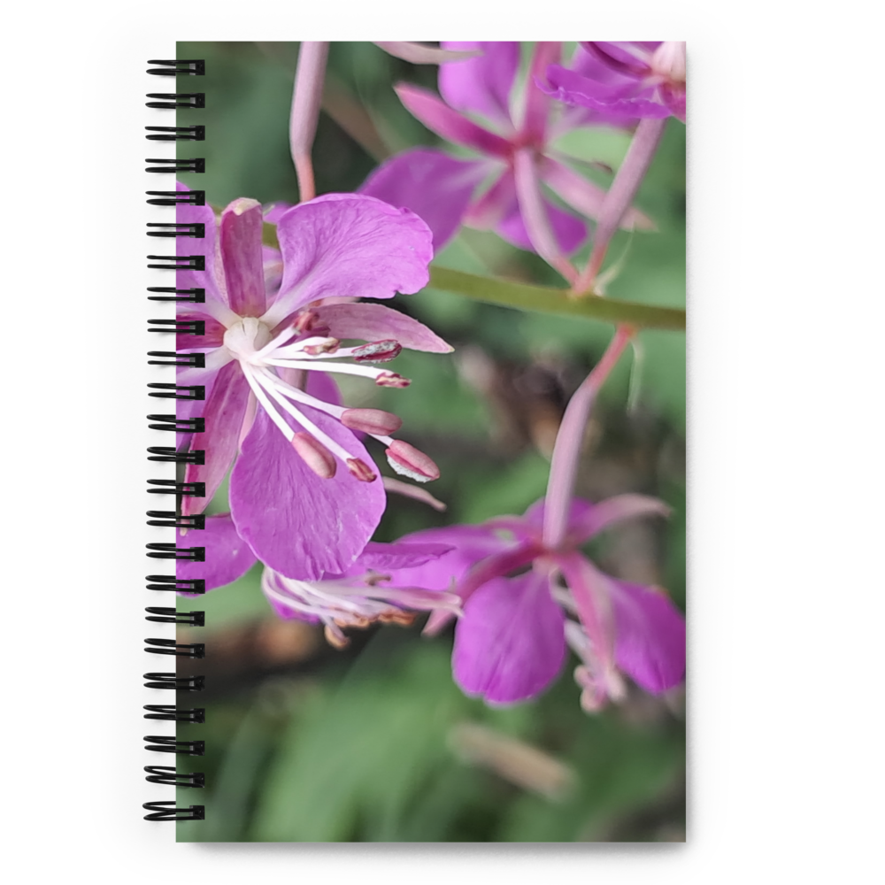 Notebook 2