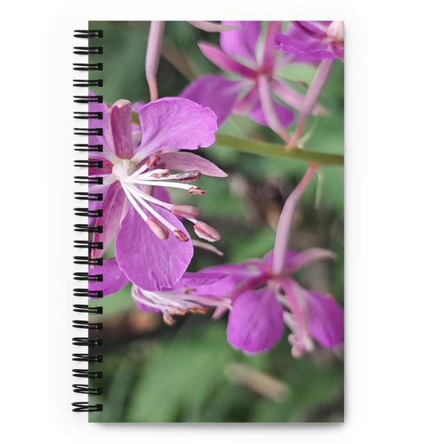 Notebook 2