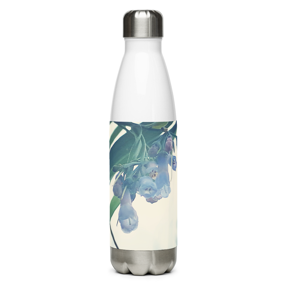 Water Bottle Stainless Steel