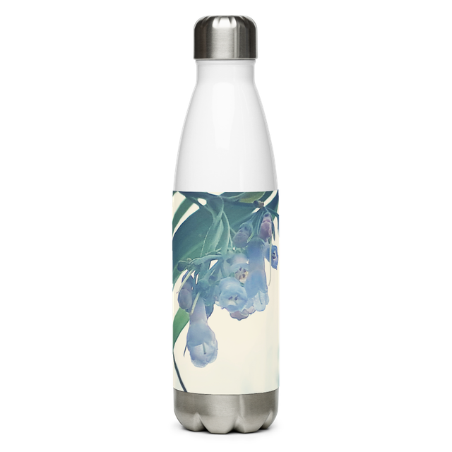 Water Bottle Stainless Steel