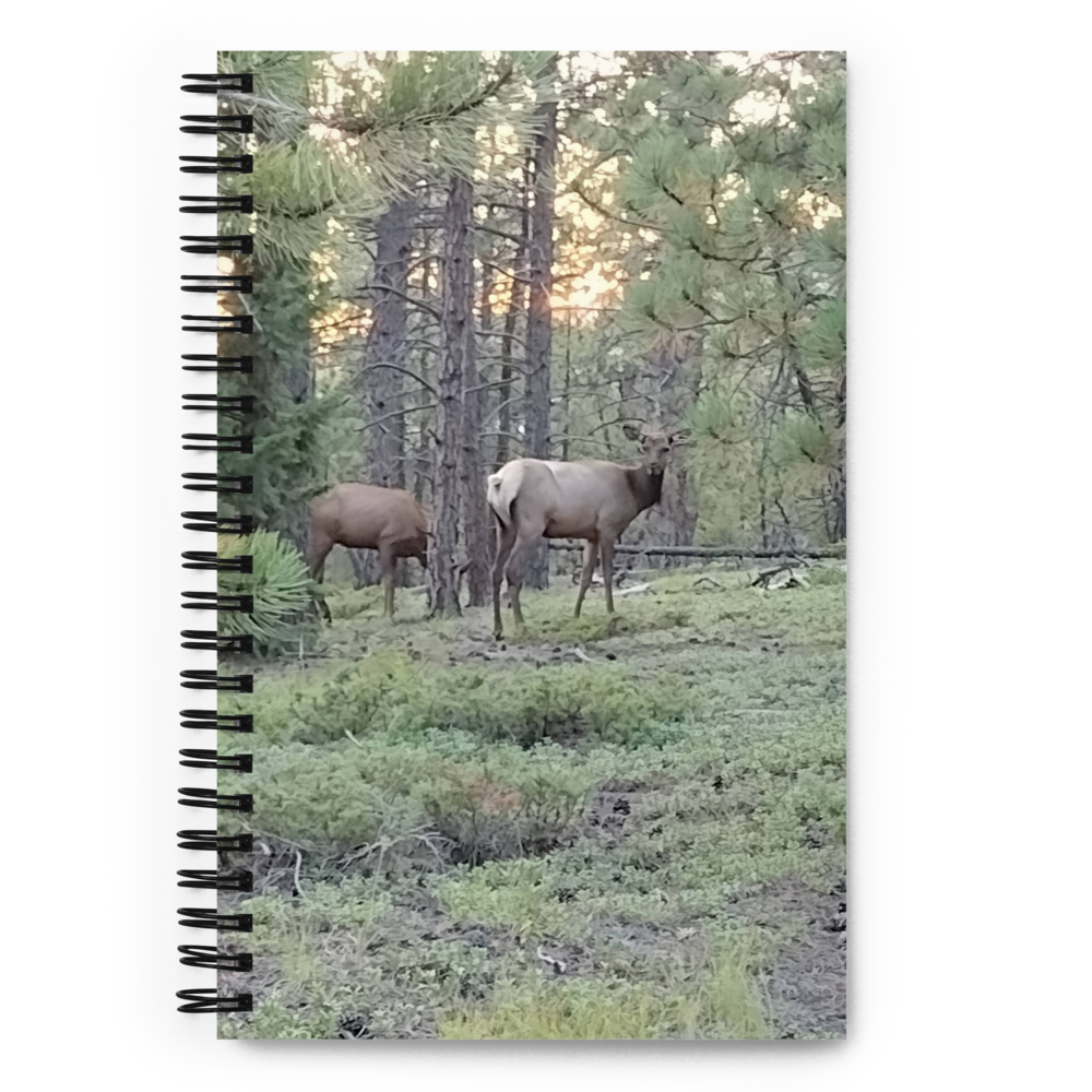 Notebook Elk 