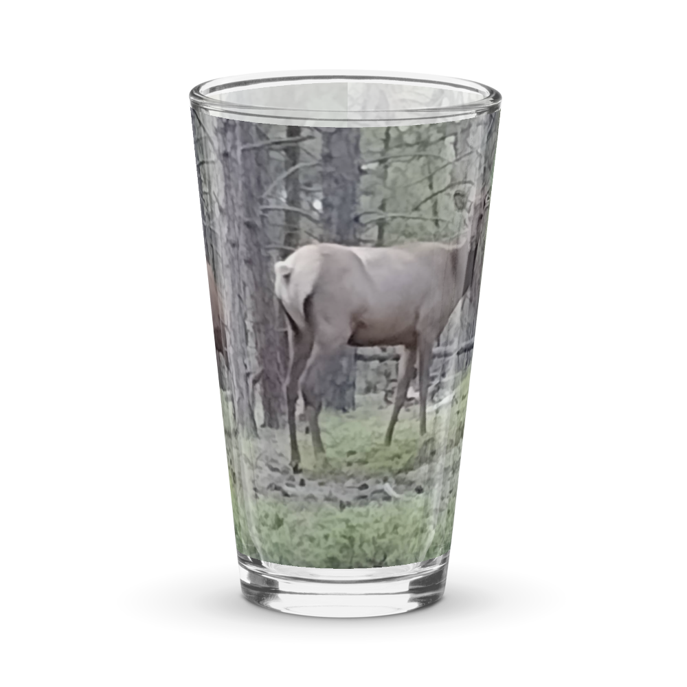 Elk Glass 