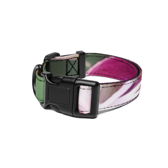 M Dog Collar