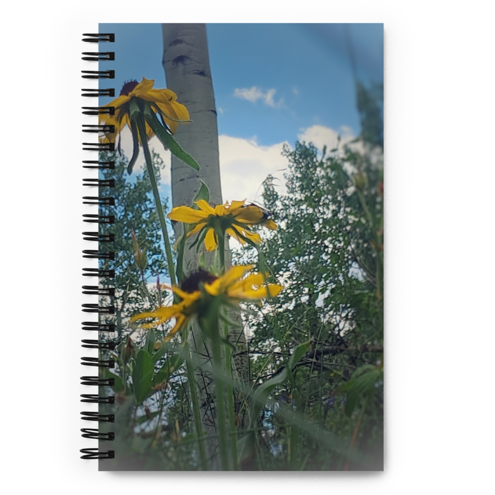 Notebook 1