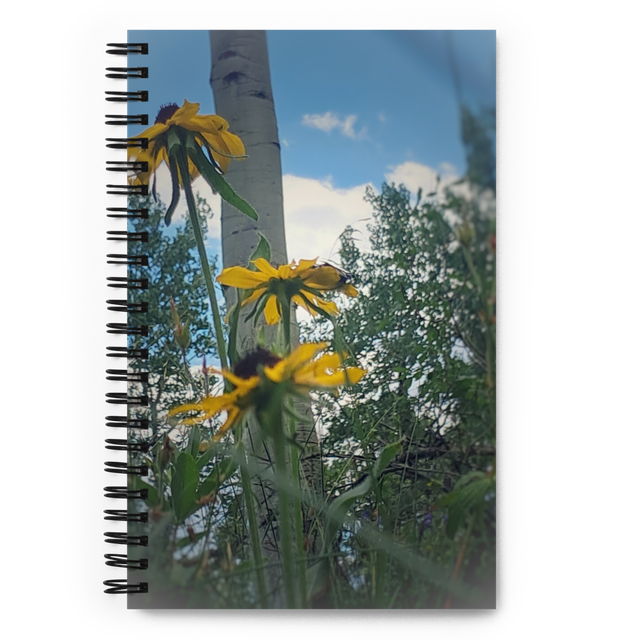 Notebook 1
